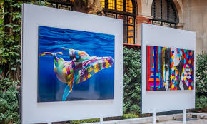 Arts and Entertainment: A Dynamic World of Creativity and Expression