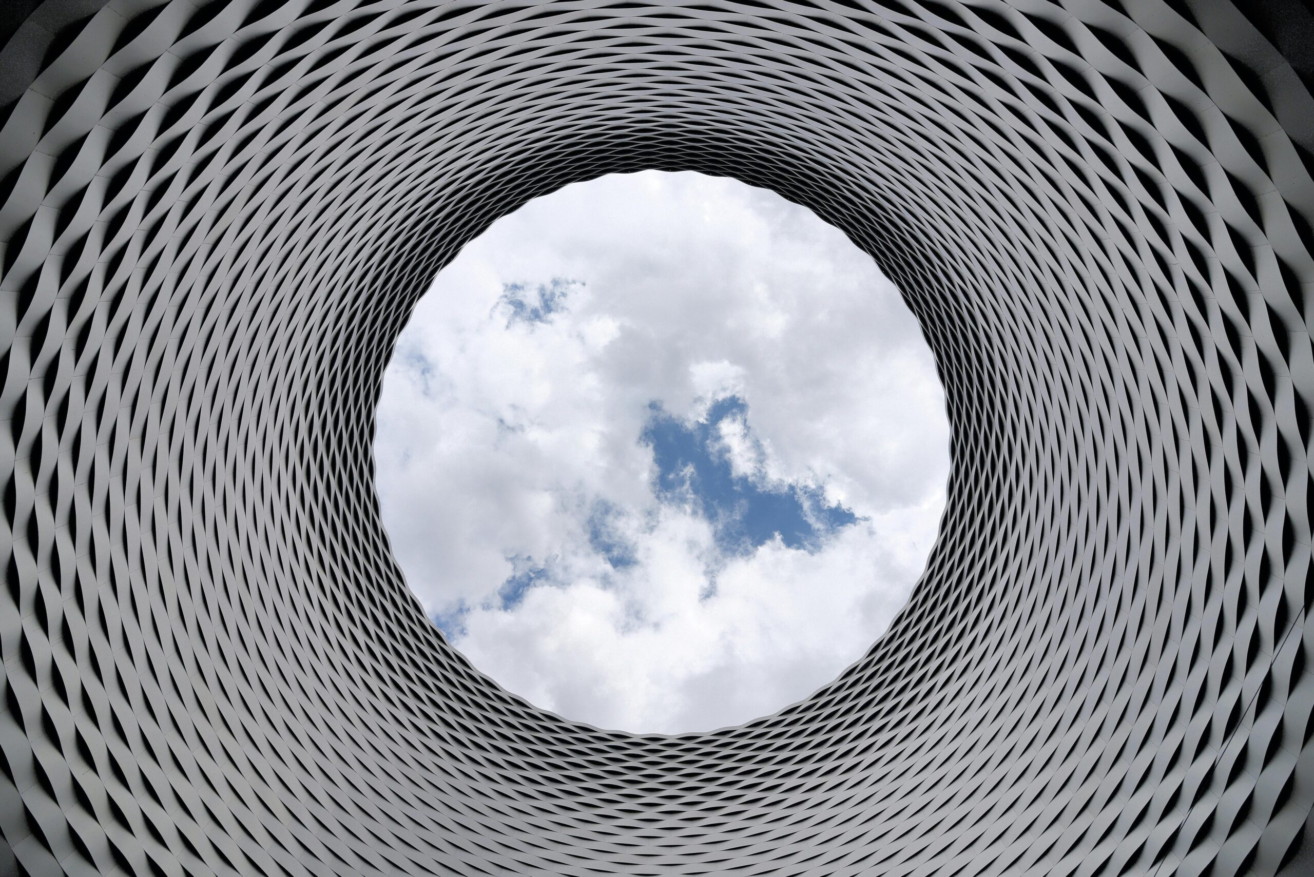 Sustainable Business Models: Driving Profit & Protecting the Planet